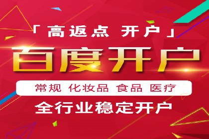 大型企业SEM外包实战案例