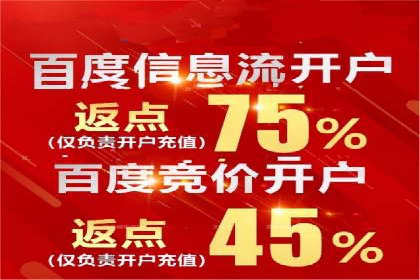 SEM公司案例分析：搜索引擎优化策略与执行